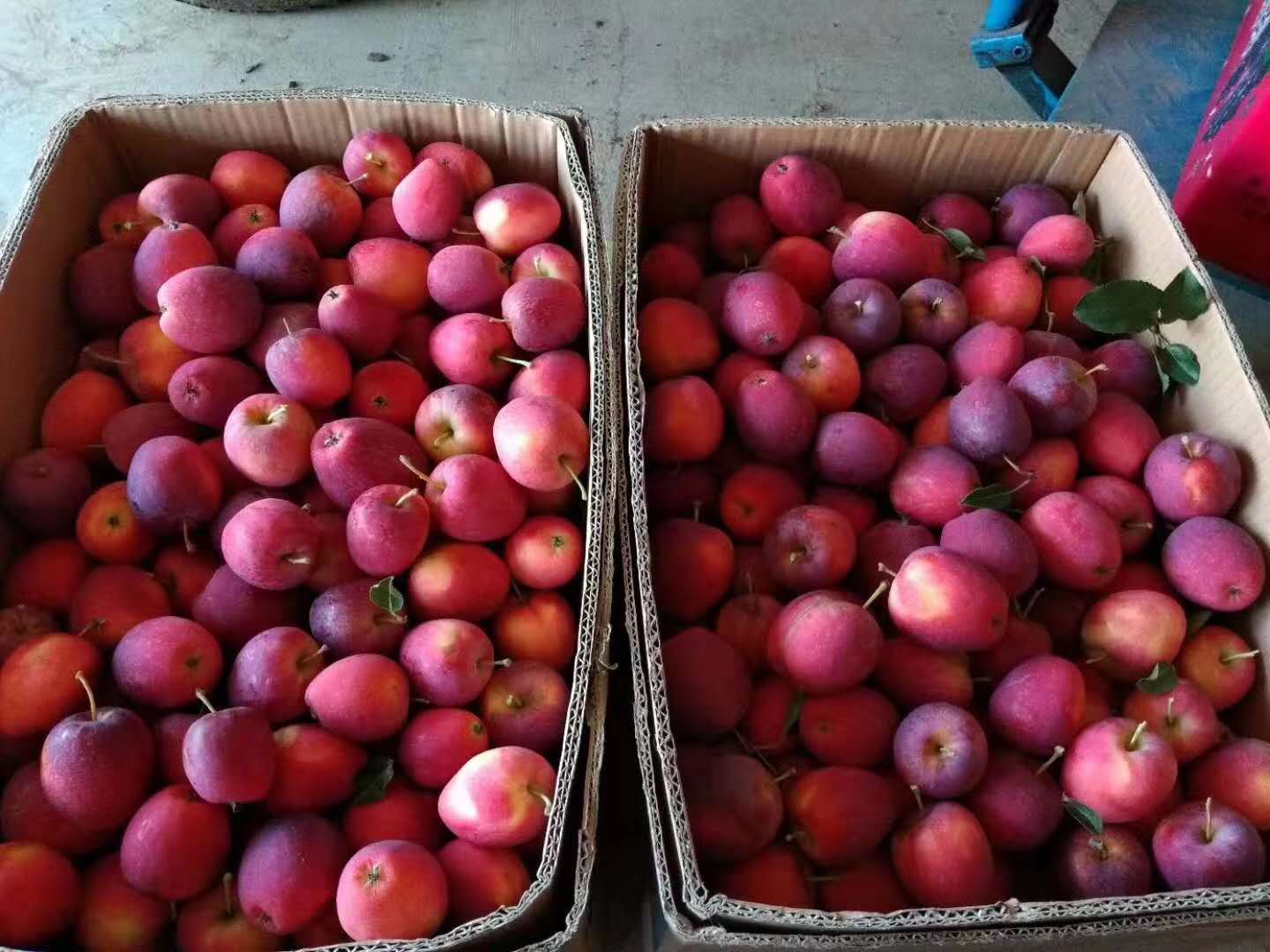 ������ʱ���������ǲ�(�й���)�ٷ���վ