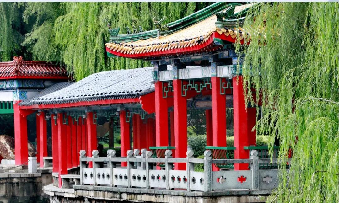 ������ʱ���������ǲ�(�й���)�ٷ���վ