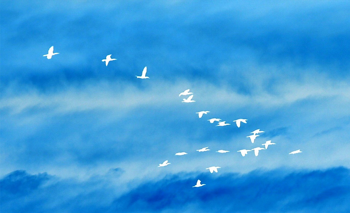 �˲�����