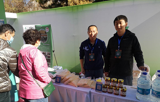 ���ѷ�ƶ����ʱ